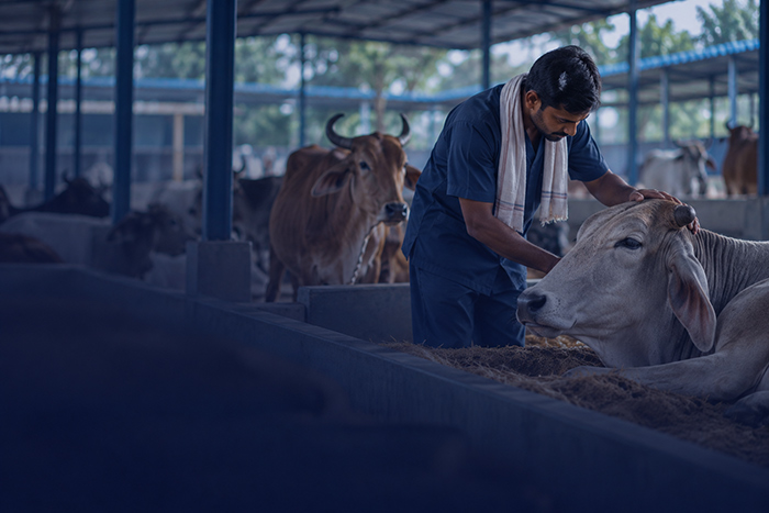 Nature and animal welfare