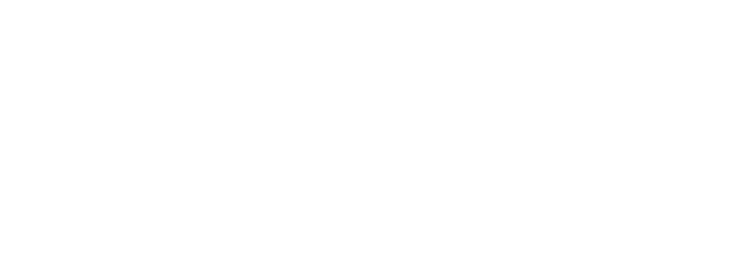 SV Group